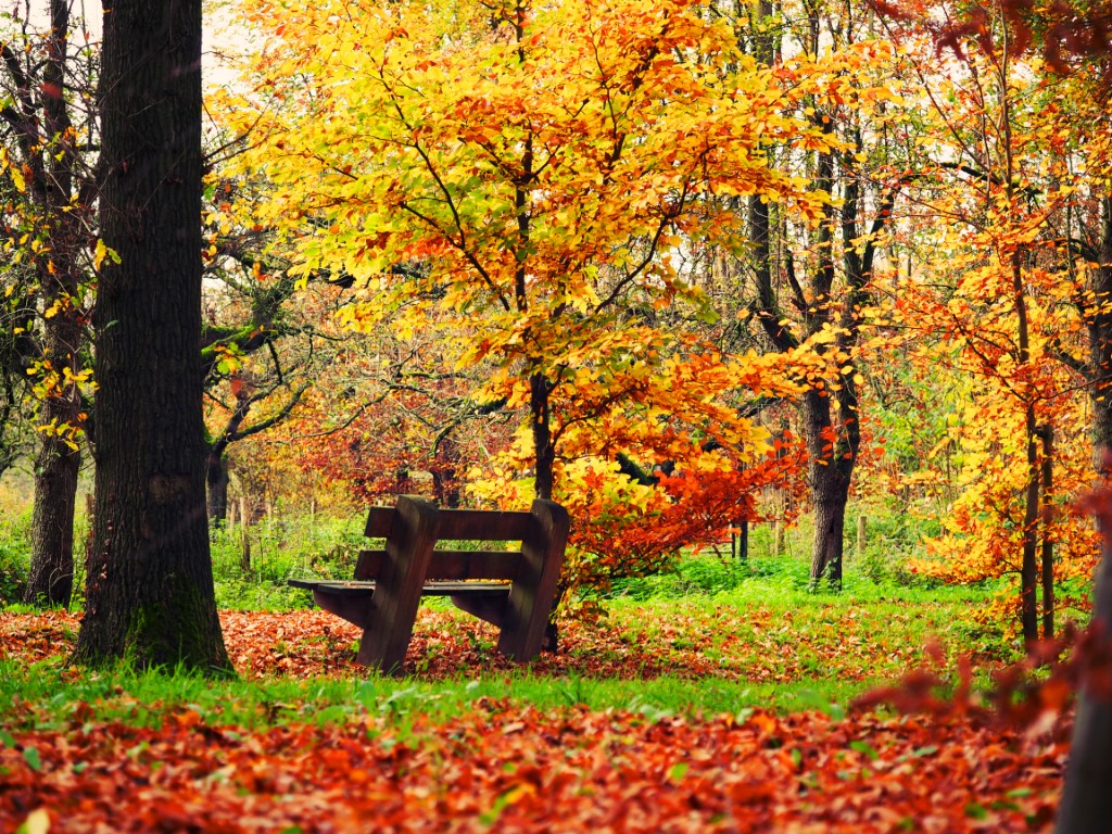 Bench 1